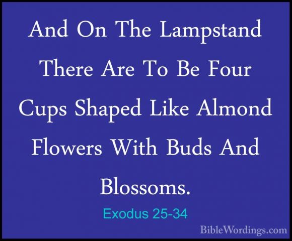 Exodus 25-34 - And On The Lampstand There Are To Be Four Cups ShaAnd On The Lampstand There Are To Be Four Cups Shaped Like Almond Flowers With Buds And Blossoms. 