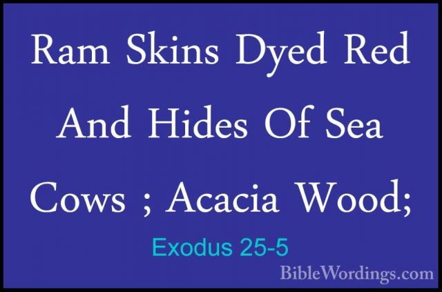 Exodus 25-5 - Ram Skins Dyed Red And Hides Of Sea Cows ; Acacia WRam Skins Dyed Red And Hides Of Sea Cows ; Acacia Wood; 