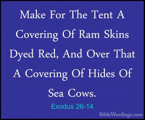 Exodus 26-14 - Make For The Tent A Covering Of Ram Skins Dyed RedMake For The Tent A Covering Of Ram Skins Dyed Red, And Over That A Covering Of Hides Of Sea Cows. 