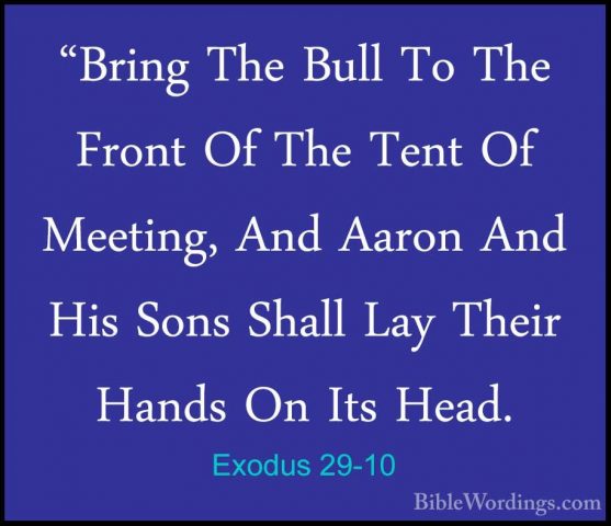 Exodus 29-10 - "Bring The Bull To The Front Of The Tent Of Meetin"Bring The Bull To The Front Of The Tent Of Meeting, And Aaron And His Sons Shall Lay Their Hands On Its Head. 