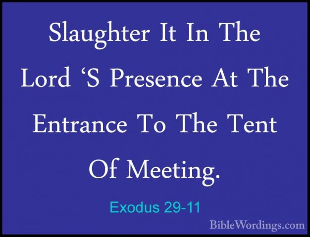 Exodus 29-11 - Slaughter It In The Lord 'S Presence At The EntranSlaughter It In The Lord 'S Presence At The Entrance To The Tent Of Meeting. 