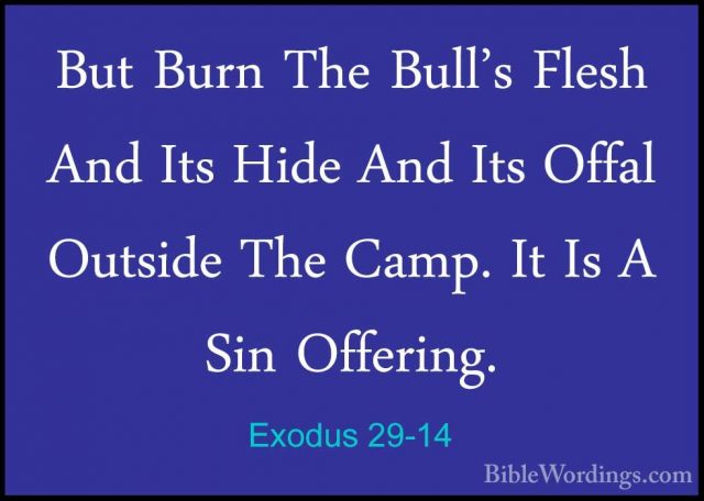 Exodus 29-14 - But Burn The Bull's Flesh And Its Hide And Its OffBut Burn The Bull's Flesh And Its Hide And Its Offal Outside The Camp. It Is A Sin Offering. 