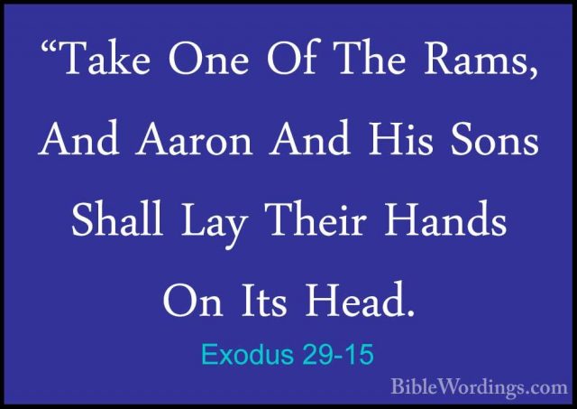 Exodus 29-15 - "Take One Of The Rams, And Aaron And His Sons Shal"Take One Of The Rams, And Aaron And His Sons Shall Lay Their Hands On Its Head. 