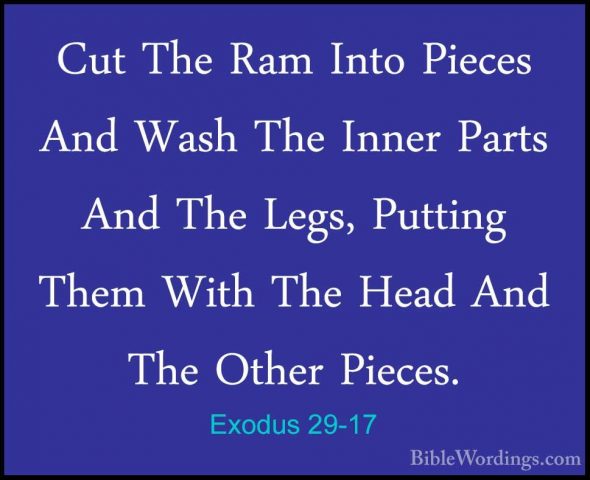 Exodus 29-17 - Cut The Ram Into Pieces And Wash The Inner Parts ACut The Ram Into Pieces And Wash The Inner Parts And The Legs, Putting Them With The Head And The Other Pieces. 