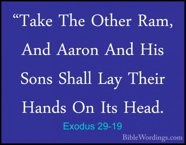 Exodus 29-19 - "Take The Other Ram, And Aaron And His Sons Shall"Take The Other Ram, And Aaron And His Sons Shall Lay Their Hands On Its Head. 