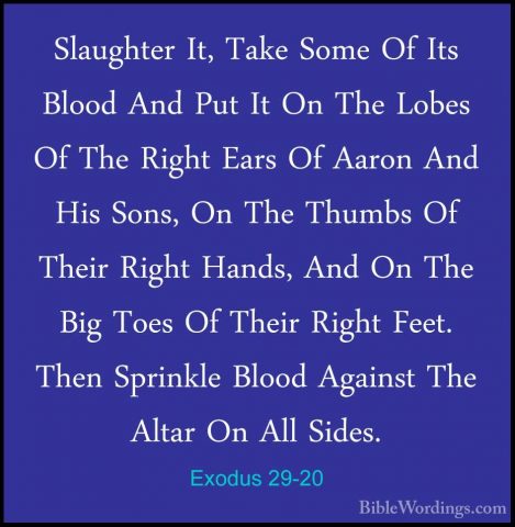 Exodus 29-20 - Slaughter It, Take Some Of Its Blood And Put It OnSlaughter It, Take Some Of Its Blood And Put It On The Lobes Of The Right Ears Of Aaron And His Sons, On The Thumbs Of Their Right Hands, And On The Big Toes Of Their Right Feet. Then Sprinkle Blood Against The Altar On All Sides. 