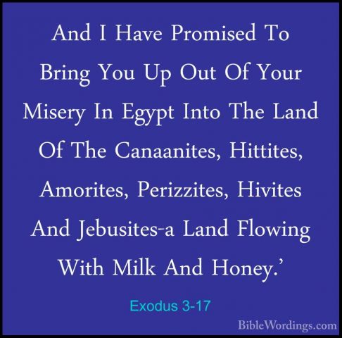 Exodus 3-17 - And I Have Promised To Bring You Up Out Of Your MisAnd I Have Promised To Bring You Up Out Of Your Misery In Egypt Into The Land Of The Canaanites, Hittites, Amorites, Perizzites, Hivites And Jebusites-a Land Flowing With Milk And Honey.' 