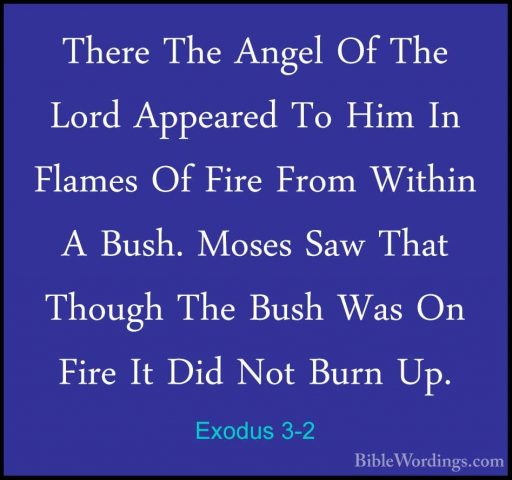 Exodus 3-2 - There The Angel Of The Lord Appeared To Him In FlameThere The Angel Of The Lord Appeared To Him In Flames Of Fire From Within A Bush. Moses Saw That Though The Bush Was On Fire It Did Not Burn Up. 