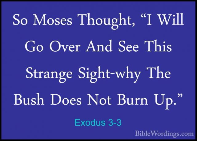 Exodus 3-3 - So Moses Thought, "I Will Go Over And See This StranSo Moses Thought, "I Will Go Over And See This Strange Sight-why The Bush Does Not Burn Up." 