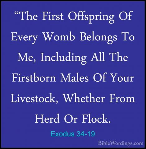 Exodus 34-19 - "The First Offspring Of Every Womb Belongs To Me,"The First Offspring Of Every Womb Belongs To Me, Including All The Firstborn Males Of Your Livestock, Whether From Herd Or Flock. 