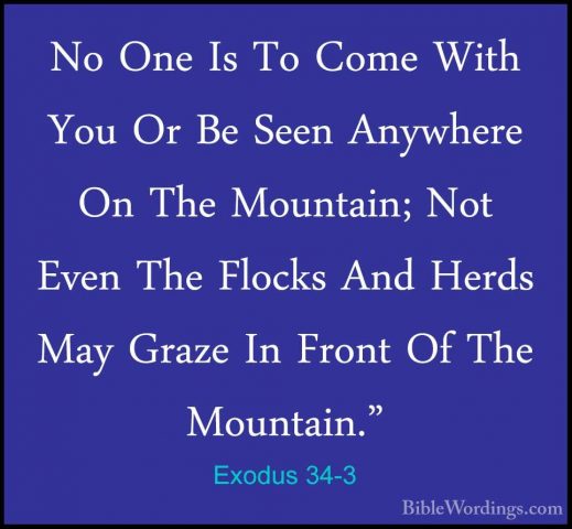 Exodus 34-3 - No One Is To Come With You Or Be Seen Anywhere On TNo One Is To Come With You Or Be Seen Anywhere On The Mountain; Not Even The Flocks And Herds May Graze In Front Of The Mountain." 