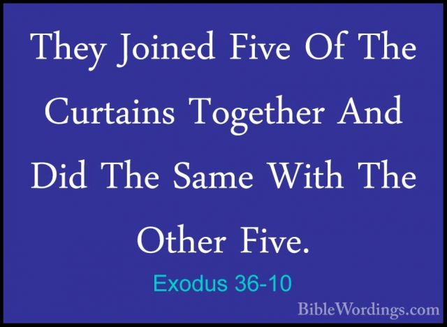 Exodus 36-10 - They Joined Five Of The Curtains Together And DidThey Joined Five Of The Curtains Together And Did The Same With The Other Five. 