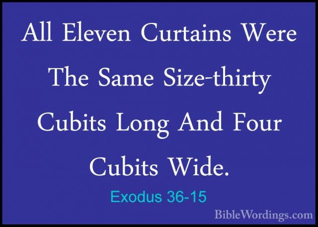 Exodus 36-15 - All Eleven Curtains Were The Same Size-thirty CubiAll Eleven Curtains Were The Same Size-thirty Cubits Long And Four Cubits Wide. 