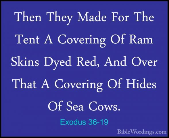 Exodus 36-19 - Then They Made For The Tent A Covering Of Ram SkinThen They Made For The Tent A Covering Of Ram Skins Dyed Red, And Over That A Covering Of Hides Of Sea Cows. 
