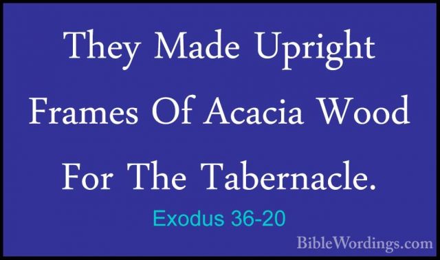 Exodus 36-20 - They Made Upright Frames Of Acacia Wood For The TaThey Made Upright Frames Of Acacia Wood For The Tabernacle. 