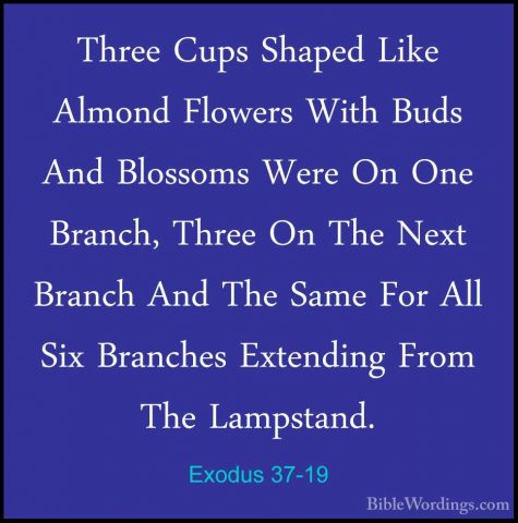 Exodus 37-19 - Three Cups Shaped Like Almond Flowers With Buds AnThree Cups Shaped Like Almond Flowers With Buds And Blossoms Were On One Branch, Three On The Next Branch And The Same For All Six Branches Extending From The Lampstand. 