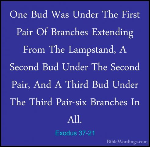 Exodus 37-21 - One Bud Was Under The First Pair Of Branches ExtenOne Bud Was Under The First Pair Of Branches Extending From The Lampstand, A Second Bud Under The Second Pair, And A Third Bud Under The Third Pair-six Branches In All. 