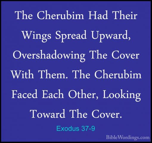 Exodus 37-9 - The Cherubim Had Their Wings Spread Upward, OvershaThe Cherubim Had Their Wings Spread Upward, Overshadowing The Cover With Them. The Cherubim Faced Each Other, Looking Toward The Cover. 