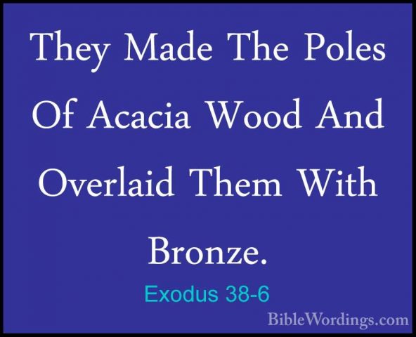 Exodus 38-6 - They Made The Poles Of Acacia Wood And Overlaid TheThey Made The Poles Of Acacia Wood And Overlaid Them With Bronze. 