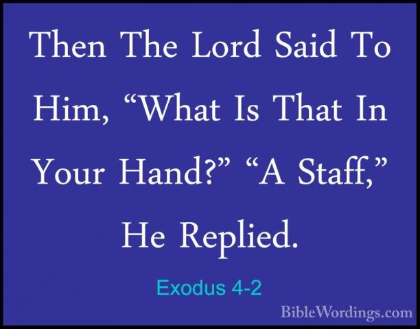 Exodus 4-2 - Then The Lord Said To Him, "What Is That In Your HanThen The Lord Said To Him, "What Is That In Your Hand?" "A Staff," He Replied. 