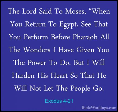 Exodus 4-21 - The Lord Said To Moses, "When You Return To Egypt,The Lord Said To Moses, "When You Return To Egypt, See That You Perform Before Pharaoh All The Wonders I Have Given You The Power To Do. But I Will Harden His Heart So That He Will Not Let The People Go. 