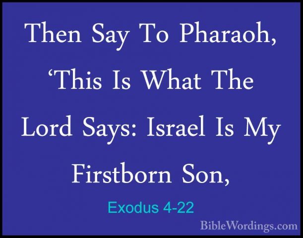 Exodus 4-22 - Then Say To Pharaoh, 'This Is What The Lord Says: IThen Say To Pharaoh, 'This Is What The Lord Says: Israel Is My Firstborn Son, 