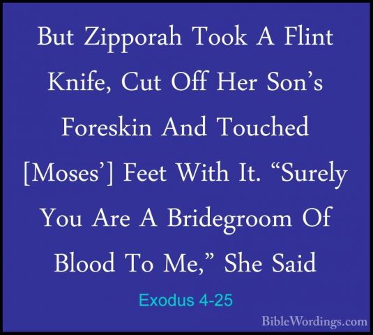 Exodus 4-25 - But Zipporah Took A Flint Knife, Cut Off Her Son'sBut Zipporah Took A Flint Knife, Cut Off Her Son's Foreskin And Touched [Moses'] Feet With It. "Surely You Are A Bridegroom Of Blood To Me," She Said