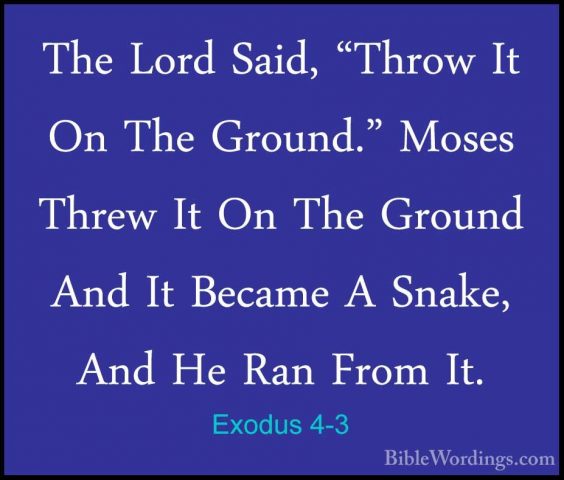Exodus 4-3 - The Lord Said, "Throw It On The Ground." Moses ThrewThe Lord Said, "Throw It On The Ground." Moses Threw It On The Ground And It Became A Snake, And He Ran From It. 