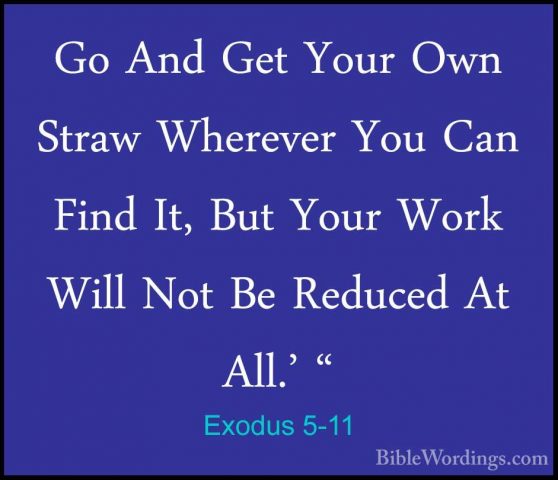 Exodus 5-11 - Go And Get Your Own Straw Wherever You Can Find It,Go And Get Your Own Straw Wherever You Can Find It, But Your Work Will Not Be Reduced At All.' " 