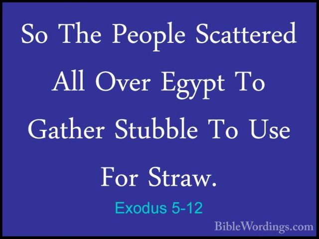 Exodus 5-12 - So The People Scattered All Over Egypt To Gather StSo The People Scattered All Over Egypt To Gather Stubble To Use For Straw. 