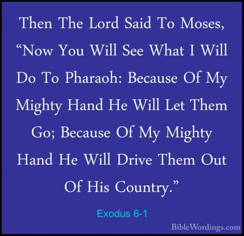 Exodus 6-1 - Then The Lord Said To Moses, "Now You Will See WhatThen The Lord Said To Moses, "Now You Will See What I Will Do To Pharaoh: Because Of My Mighty Hand He Will Let Them Go; Because Of My Mighty Hand He Will Drive Them Out Of His Country." 