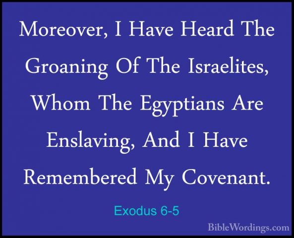 Exodus 6-5 - Moreover, I Have Heard The Groaning Of The IsraeliteMoreover, I Have Heard The Groaning Of The Israelites, Whom The Egyptians Are Enslaving, And I Have Remembered My Covenant. 