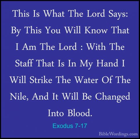 Exodus 7-17 - This Is What The Lord Says: By This You Will Know TThis Is What The Lord Says: By This You Will Know That I Am The Lord : With The Staff That Is In My Hand I Will Strike The Water Of The Nile, And It Will Be Changed Into Blood. 