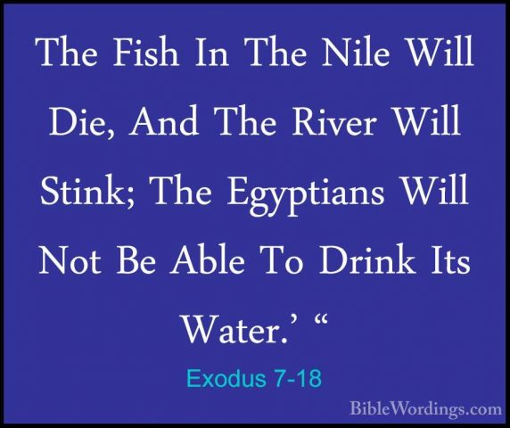 Exodus 7-18 - The Fish In The Nile Will Die, And The River Will SThe Fish In The Nile Will Die, And The River Will Stink; The Egyptians Will Not Be Able To Drink Its Water.' " 