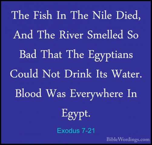 Exodus 7-21 - The Fish In The Nile Died, And The River Smelled SoThe Fish In The Nile Died, And The River Smelled So Bad That The Egyptians Could Not Drink Its Water. Blood Was Everywhere In Egypt. 