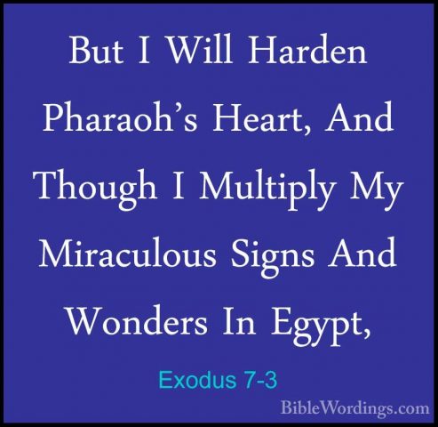 Exodus 7-3 - But I Will Harden Pharaoh's Heart, And Though I MultBut I Will Harden Pharaoh's Heart, And Though I Multiply My Miraculous Signs And Wonders In Egypt, 