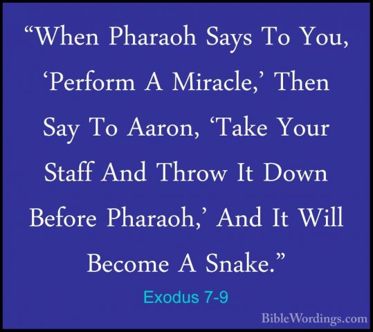 Exodus 7-9 - "When Pharaoh Says To You, 'Perform A Miracle,' Then"When Pharaoh Says To You, 'Perform A Miracle,' Then Say To Aaron, 'Take Your Staff And Throw It Down Before Pharaoh,' And It Will Become A Snake." 