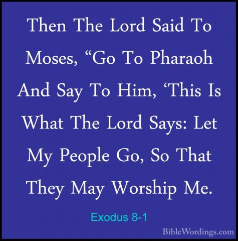 Exodus 8-1 - Then The Lord Said To Moses, "Go To Pharaoh And SayThen The Lord Said To Moses, "Go To Pharaoh And Say To Him, 'This Is What The Lord Says: Let My People Go, So That They May Worship Me. 
