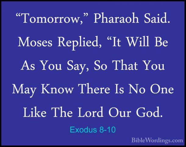 Exodus 8-10 - "Tomorrow," Pharaoh Said. Moses Replied, "It Will B"Tomorrow," Pharaoh Said. Moses Replied, "It Will Be As You Say, So That You May Know There Is No One Like The Lord Our God. 