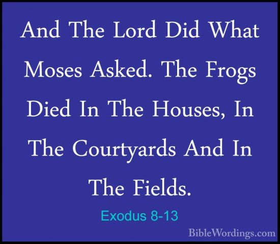 Exodus 8-13 - And The Lord Did What Moses Asked. The Frogs Died IAnd The Lord Did What Moses Asked. The Frogs Died In The Houses, In The Courtyards And In The Fields. 