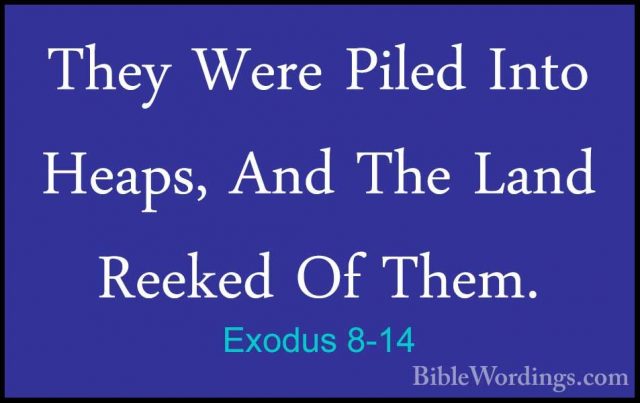 Exodus 8-14 - They Were Piled Into Heaps, And The Land Reeked OfThey Were Piled Into Heaps, And The Land Reeked Of Them. 