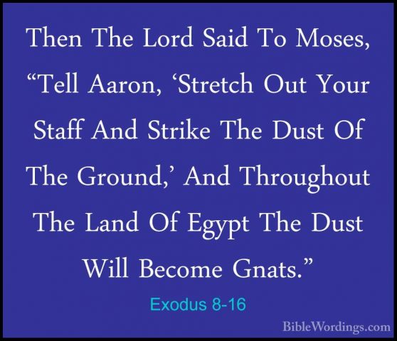 Exodus 8-16 - Then The Lord Said To Moses, "Tell Aaron, 'StretchThen The Lord Said To Moses, "Tell Aaron, 'Stretch Out Your Staff And Strike The Dust Of The Ground,' And Throughout The Land Of Egypt The Dust Will Become Gnats." 