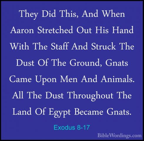 Exodus 8-17 - They Did This, And When Aaron Stretched Out His HanThey Did This, And When Aaron Stretched Out His Hand With The Staff And Struck The Dust Of The Ground, Gnats Came Upon Men And Animals. All The Dust Throughout The Land Of Egypt Became Gnats. 