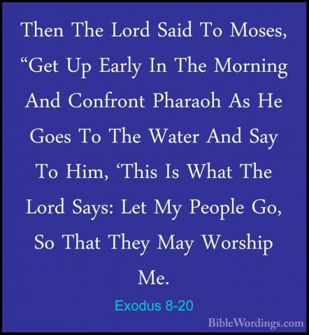 Exodus 8-20 - Then The Lord Said To Moses, "Get Up Early In The MThen The Lord Said To Moses, "Get Up Early In The Morning And Confront Pharaoh As He Goes To The Water And Say To Him, 'This Is What The Lord Says: Let My People Go, So That They May Worship Me. 