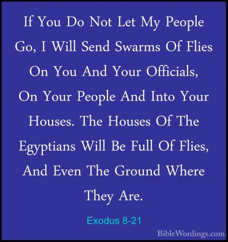 Exodus 8-21 - If You Do Not Let My People Go, I Will Send SwarmsIf You Do Not Let My People Go, I Will Send Swarms Of Flies On You And Your Officials, On Your People And Into Your Houses. The Houses Of The Egyptians Will Be Full Of Flies, And Even The Ground Where They Are. 