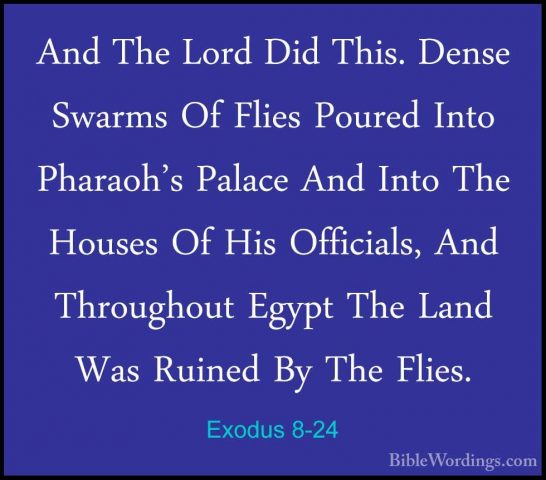 Exodus 8-24 - And The Lord Did This. Dense Swarms Of Flies PouredAnd The Lord Did This. Dense Swarms Of Flies Poured Into Pharaoh's Palace And Into The Houses Of His Officials, And Throughout Egypt The Land Was Ruined By The Flies. 