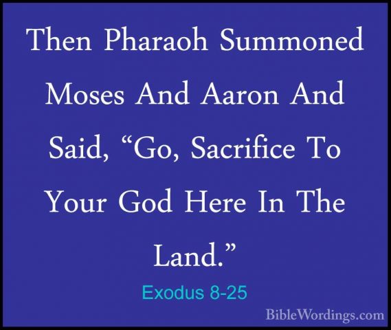 Exodus 8-25 - Then Pharaoh Summoned Moses And Aaron And Said, "GoThen Pharaoh Summoned Moses And Aaron And Said, "Go, Sacrifice To Your God Here In The Land." 