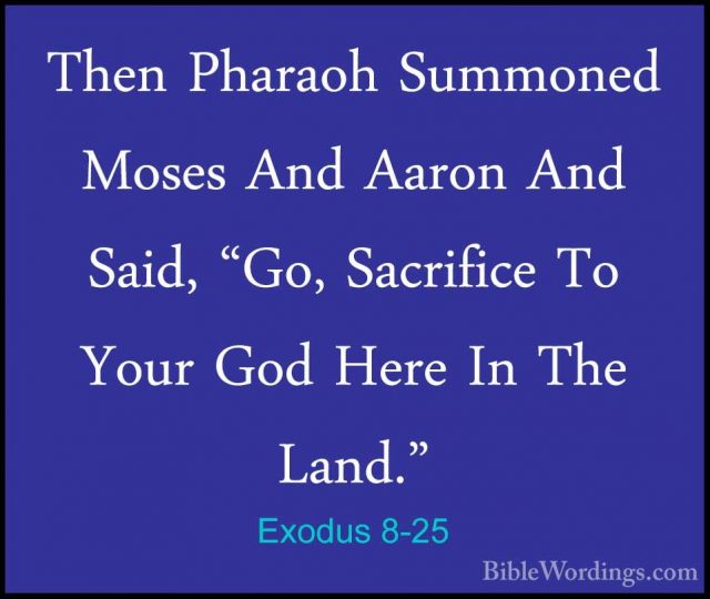 Exodus 8 - Holy Bible English - BibleWordings.com