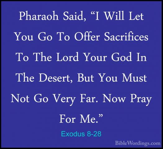 Exodus 8-28 - Pharaoh Said, "I Will Let You Go To Offer SacrificePharaoh Said, "I Will Let You Go To Offer Sacrifices To The Lord Your God In The Desert, But You Must Not Go Very Far. Now Pray For Me." 