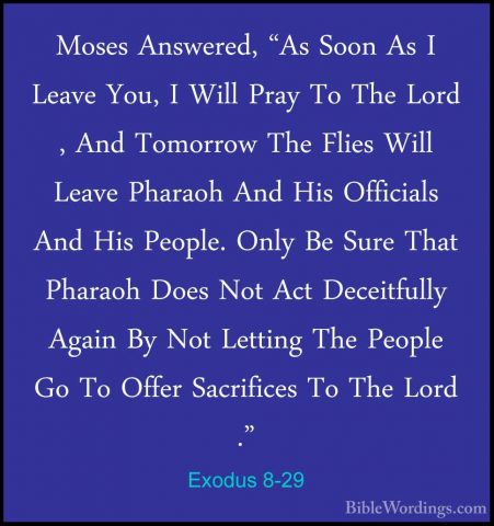 Exodus 8-29 - Moses Answered, "As Soon As I Leave You, I Will PraMoses Answered, "As Soon As I Leave You, I Will Pray To The Lord , And Tomorrow The Flies Will Leave Pharaoh And His Officials And His People. Only Be Sure That Pharaoh Does Not Act Deceitfully Again By Not Letting The People Go To Offer Sacrifices To The Lord ." 